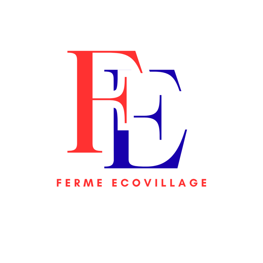 FasterCapital advances Ferme Ecovillage’s operational rollout      in Senegal